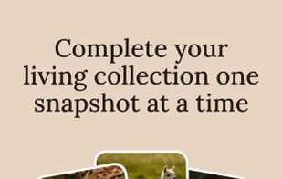 Catch 'em all in real life! Collect every species you encounter and fill out your living libraries.