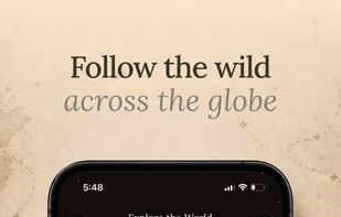 Explore an interactive 3D globe of wildlife around the world. Discover biodiversity hotspots and learn what unique species call each region home.