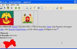 Word file with images (Pro version)