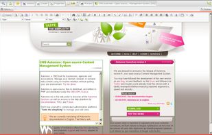 Page modification, WYSIWYG edition