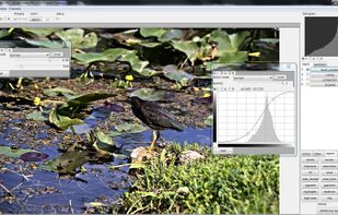 Delaboratory screenshot 2