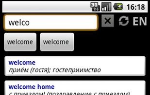 HedgeDict: En-Ru screenshot 1