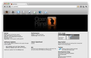 Introductory screen, showing a menu and server status