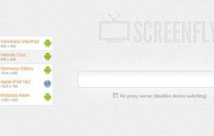 Screenfly screenshot 1
