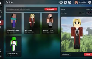 Feather Client screenshot 3