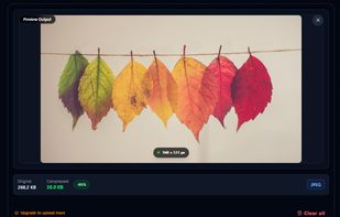 FeatherFile screenshot 1