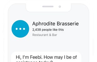 Feebi | Restaurant Chatbot screenshot 1