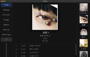 Festival Music Player screenshot 2