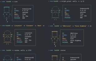 Fetch-master 6000 screenshot 1