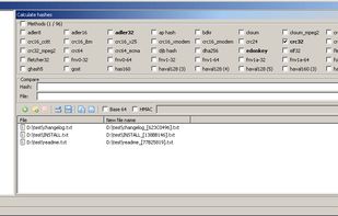 Put checksum in the file name