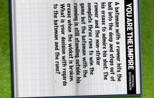 You Are The Umpire screenshot 3