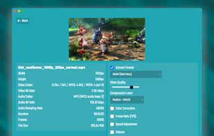 FFMPEG UI screenshot 1