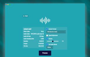 FFMPEG UI screenshot 2
