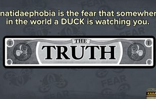 Fibbage screenshot 2