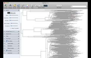 FigTree screenshot 1