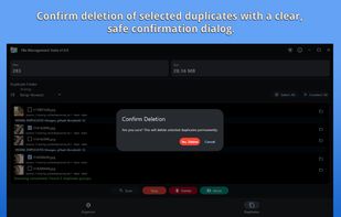Confirm deletion of selected duplicates with a clear, safe confirmation dialog