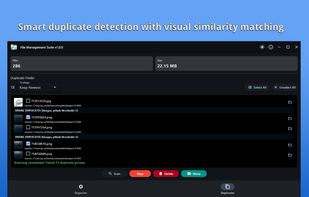 Smart duplicate detection with visual similarity matching