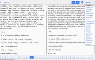 File Translator screenshot 1