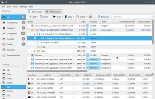 File Centipede screenshot 1