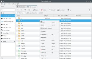 File Centipede screenshot 2