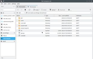 File Centipede screenshot 3