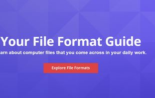 FileFormat.com screenshot 1