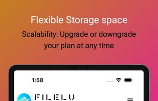 Filelu screenshot 1