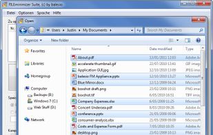 FILEminimizer Desktop screenshot 2