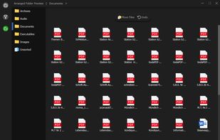 FileNest screenshot 2