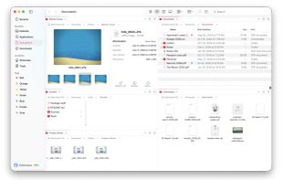 FileOctopus screenshot 1