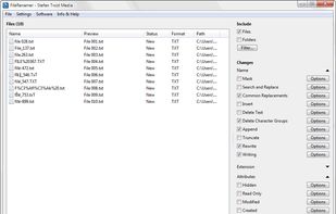 FileRenamer screenshot 1