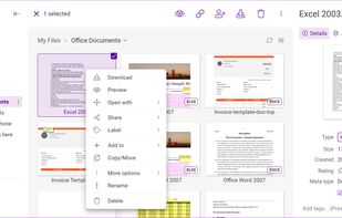 FileRun features a premium user interface which rises to the level of quality usually found only with solutions provided by global companies, such as Google.