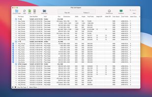 Files List Export screenshot 1