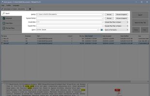FileSeek's main search tab