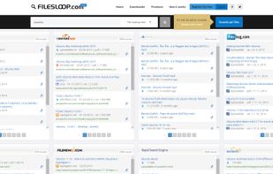 FilesLoop.com screenshot 1