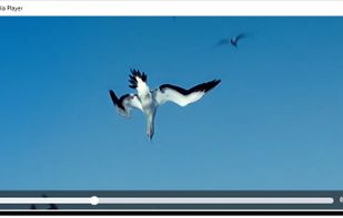 Play Video and Audio Files