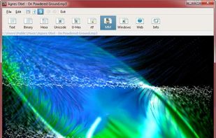 Standalone viewer playing an audio track