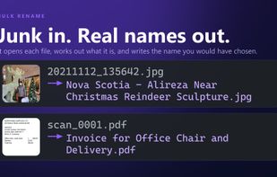 junk names in, real names out