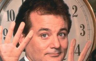 Fill Murray screenshot 1