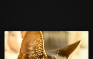 FilmKit screenshot 3