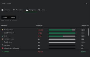 Clean your data, set categories, and add budgets.
