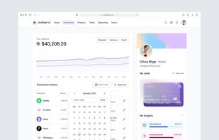 Financial Fusion screenshot 1