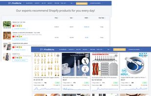 FindNiche screenshot 2