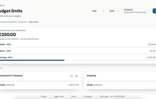 Budgets: limits per category, in the system that fits you