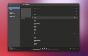 Finer Player screenshot 3