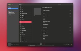 Finer Player screenshot 1