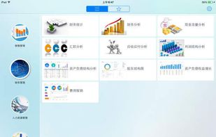 FineReport screenshot 3