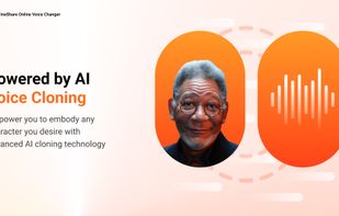 Fineshare Online Voice Changer screenshot 3