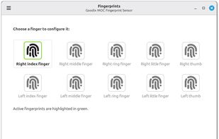 Fingwit screenshot 1
