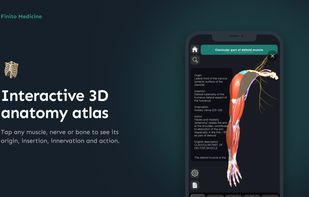Interactive 3D anatomy atlas: tap any muscle, nerve or bone to see its origin, insertion, innervation and action.